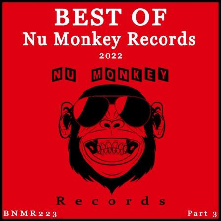 VA - Best Of Nu Monkey Records 2022 Pt. 3 (2023) MP3