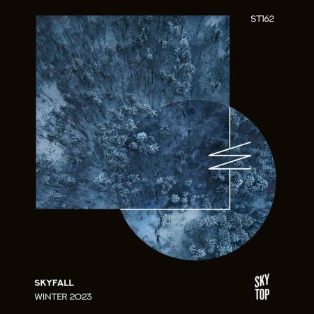 VA - SkyFall Winter 2023 (2023) MP3