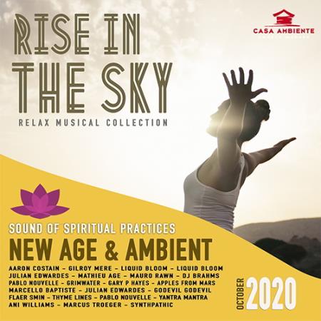 VA - Rise In The Sky (2020)