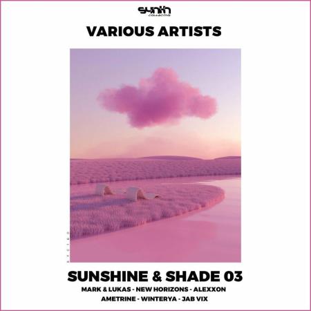 VA - Sunshine & Shade 03 (2023) MP3