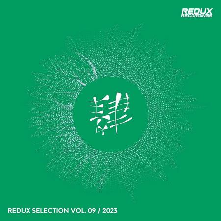 VA - Redux Selection, Vol. 9 / 2023 (2023) MP3