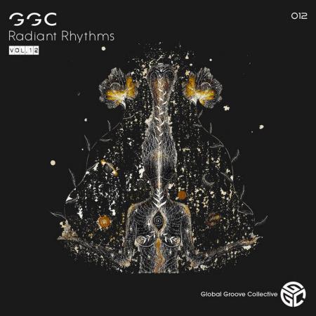 VA - Stan Kolev - Radiant Rhythms Vol 12 (2023) MP3