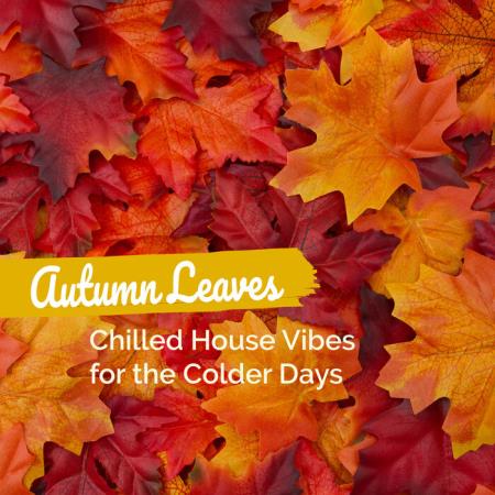 VA - Autumn Leaves: Chilled House Vibes for the Colder Days (2023) MP3