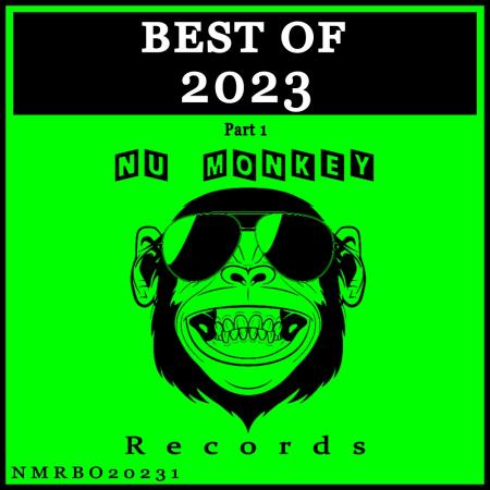 VA - Best Of Nu Monkey Records 2023 Pt 1 (2023) MP3