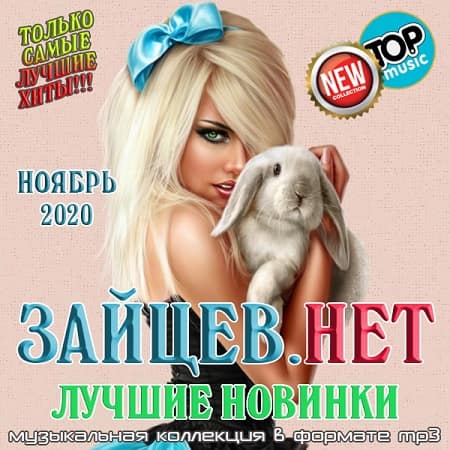 VA - Зайцев.нет: Лучшие новинки Ноября (2020)