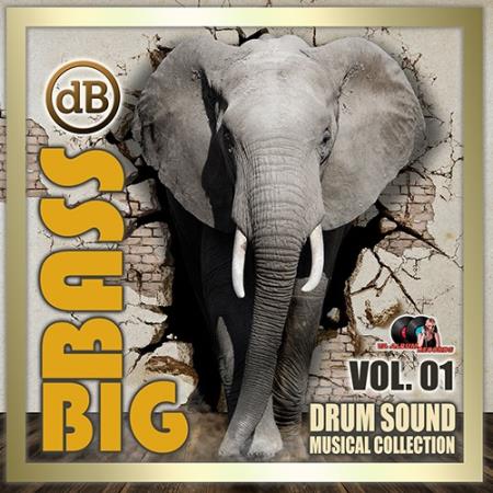 VA - Big Bass: Drum Sound Musical Collection Vol.01 (2020)