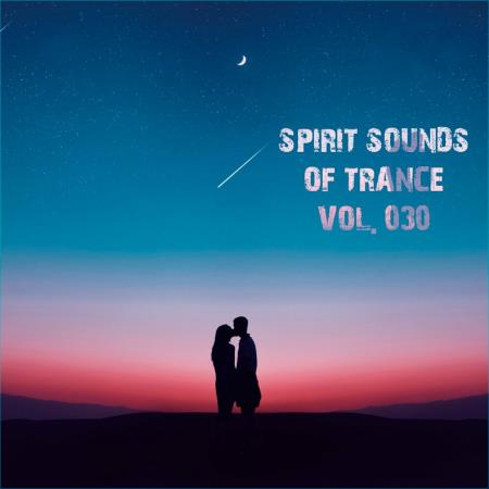 VA - Spirit Sounds Of Trance Vol 30 (Extended Mixes) (2024) MP3