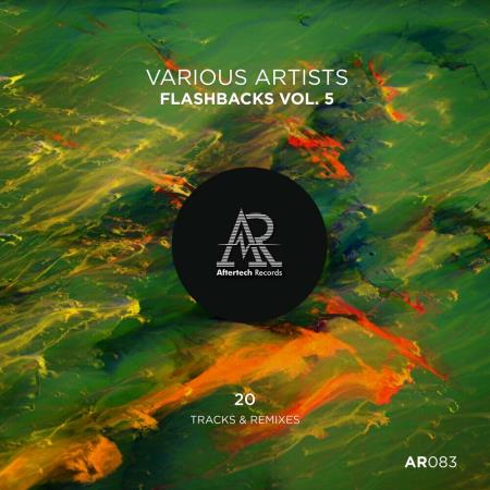 VA - Flashbacks, Vol. 5 (2024) MP3