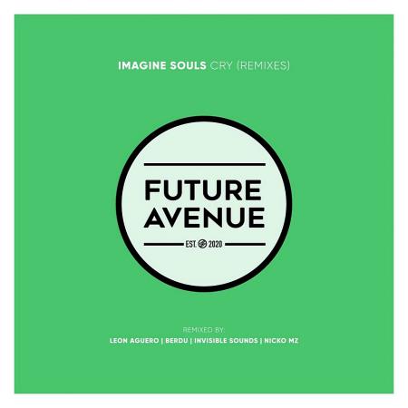 VA - Imagine Souls - Cry (Remixes) (2025) MP3