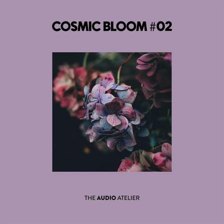 VA - Cosmic Bloom #02 (2025) MP3