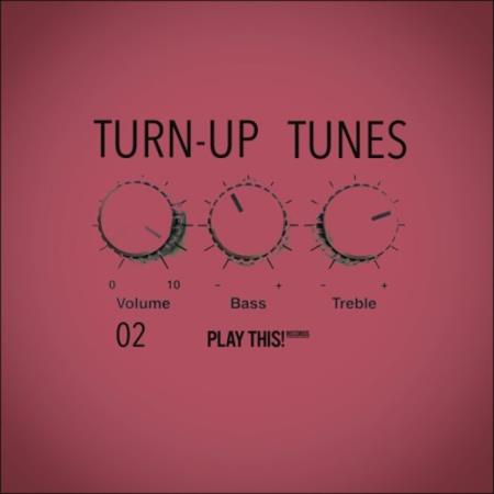 VA - Turn-Up Tunes, Vol 02 (2025) MP3
