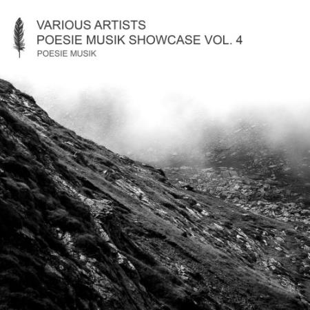 VA - Poesie Musik Showcase Vol. 4 (2020)