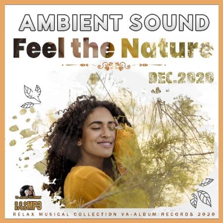 VA - Feel The Nature: Ambient Sound (2020)